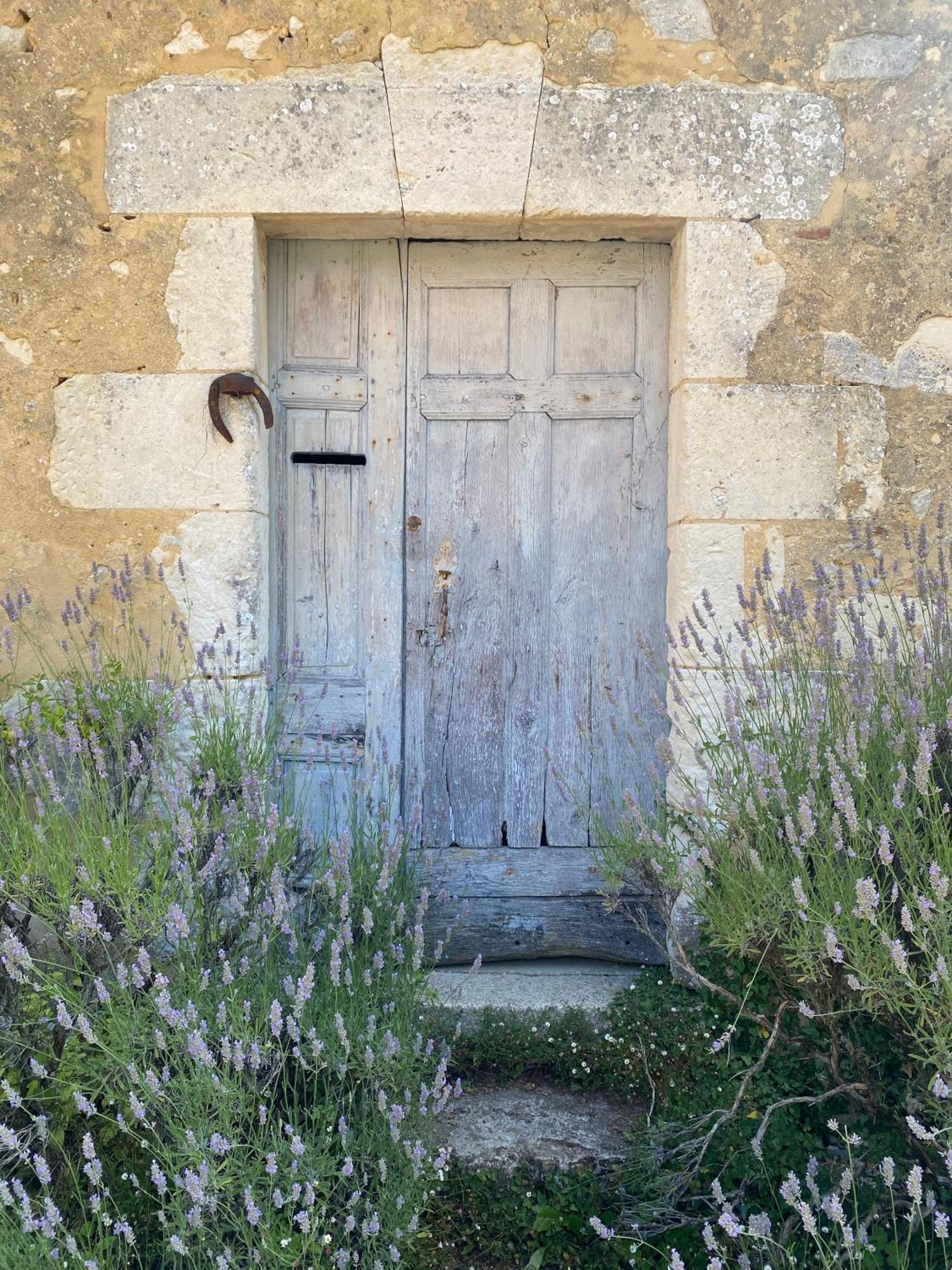 Le Manoir Du Plessis Hotel Dance  Exterior photo