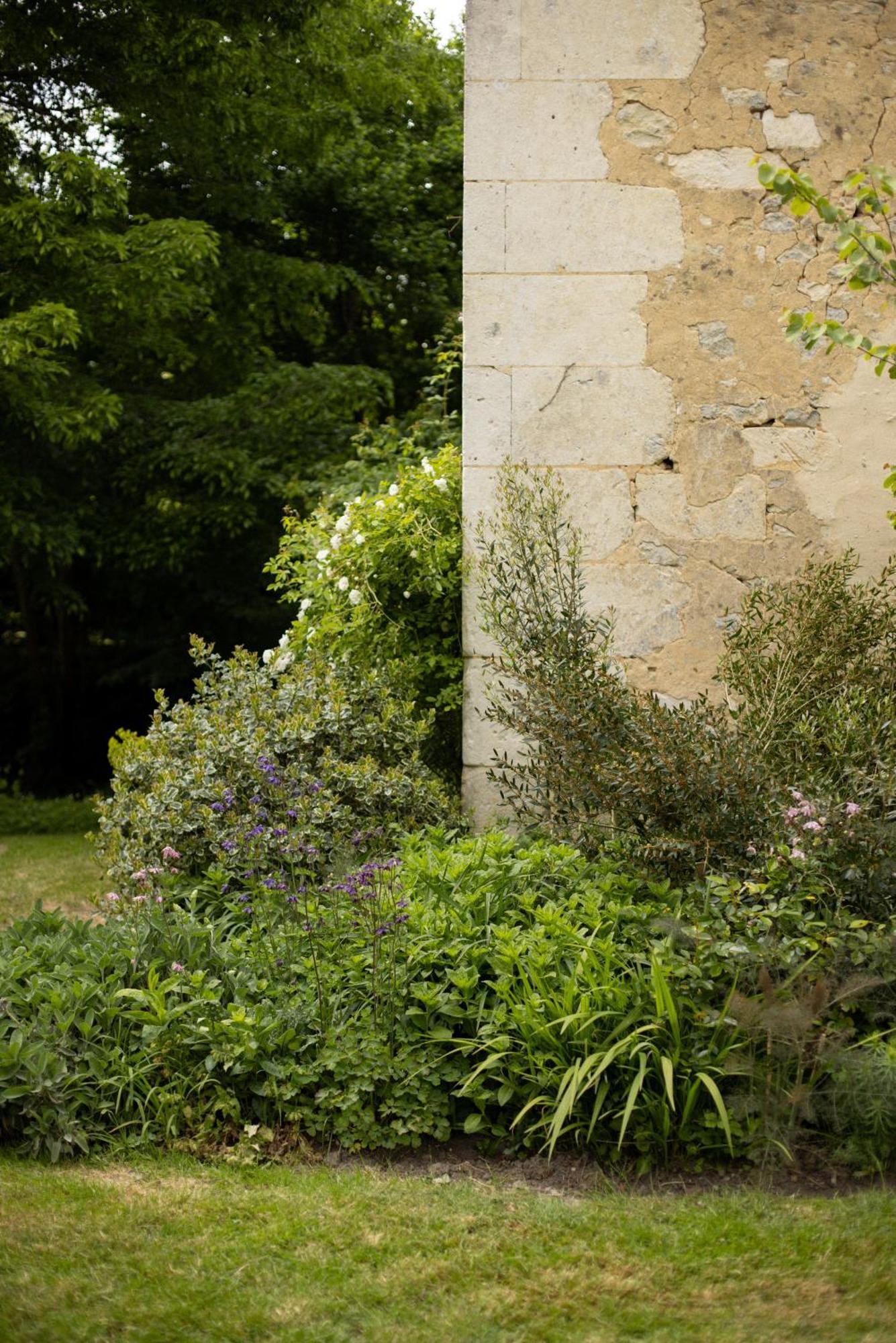 Le Manoir Du Plessis Hotel Dance  Exterior photo