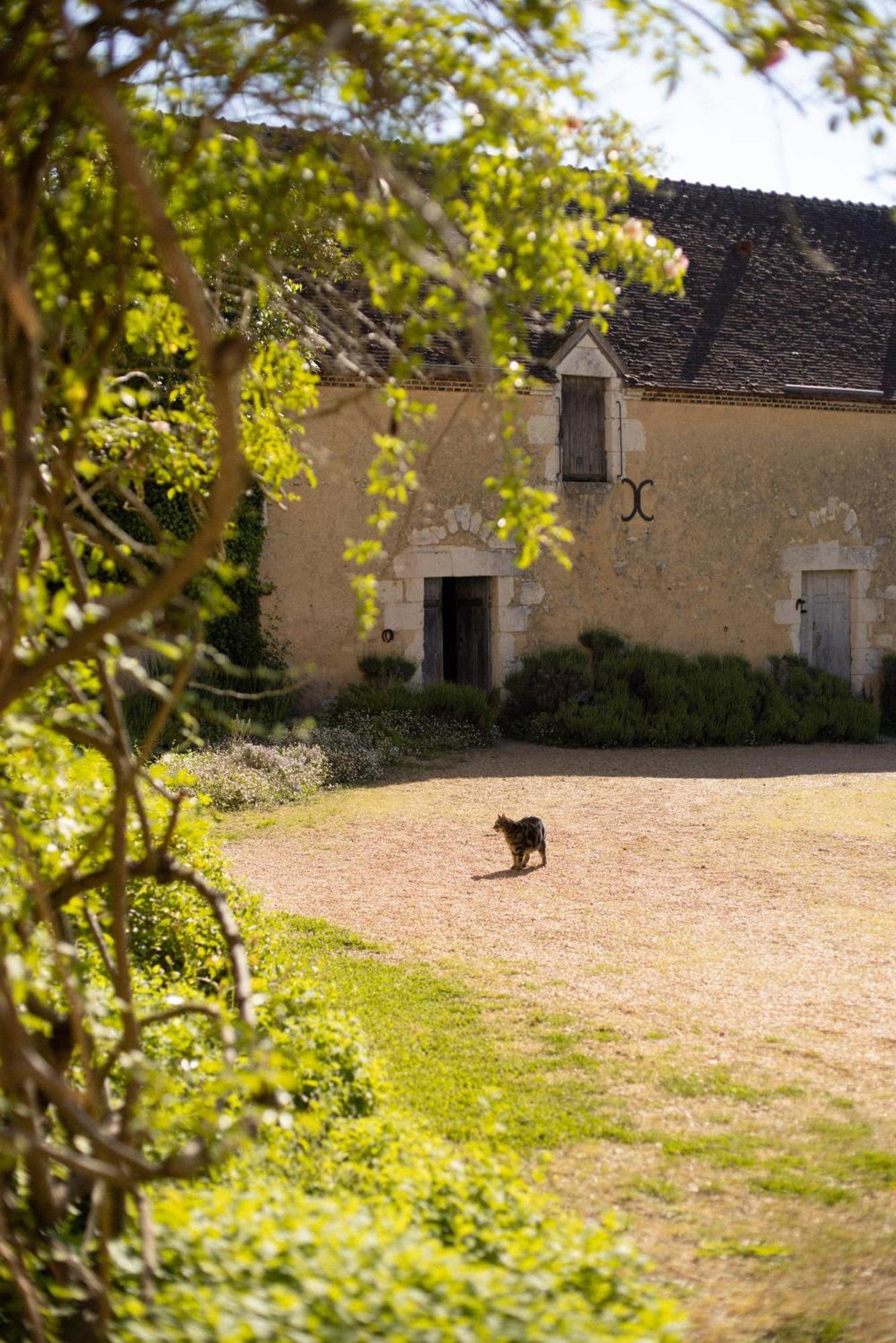 Le Manoir Du Plessis Hotel Dance  Exterior photo